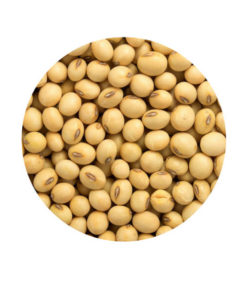 soya-beans