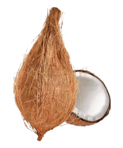 Coconut Fresh Pooja