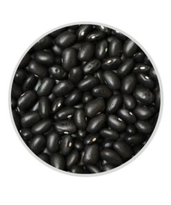 Black Turtle Bean