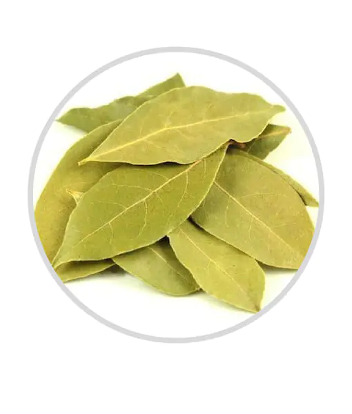 bay leaves_tejj pata