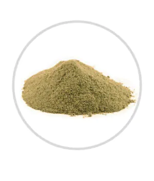 black pepper powder