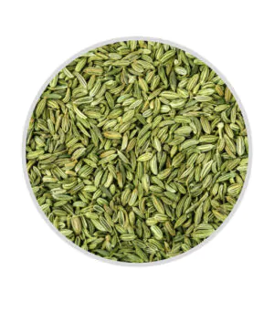 fennel seed_saunf