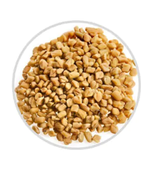 fenugreek seeds