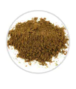 garam masala