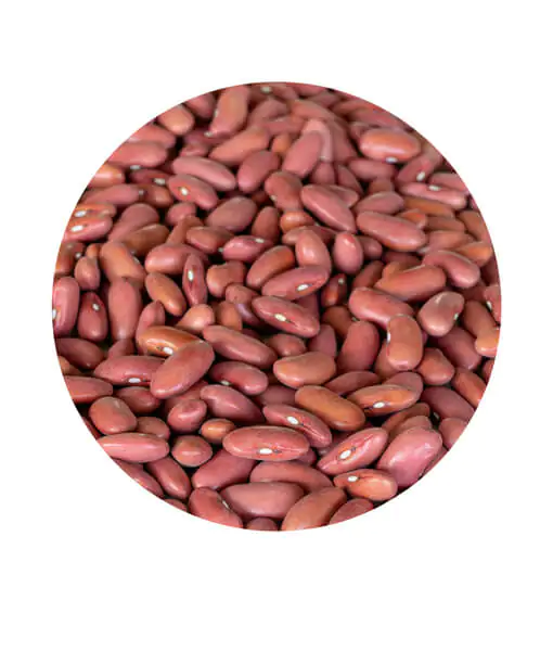 light kidney beans