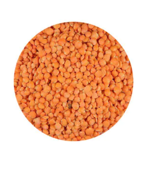 masoor dal red