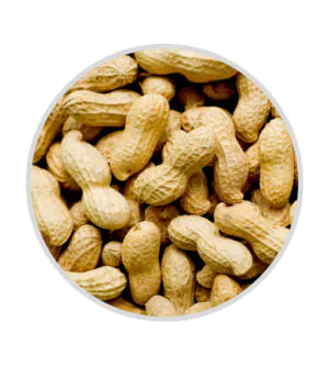 peanuts in shell