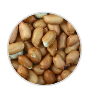 peanuts without shell