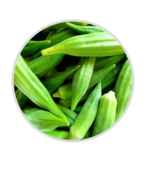 Fresh Okra-Bhindi