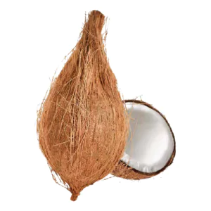 Coconut Fresh Pooja