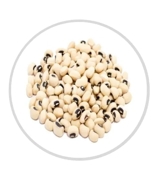 Black Eyed Beans Lobia