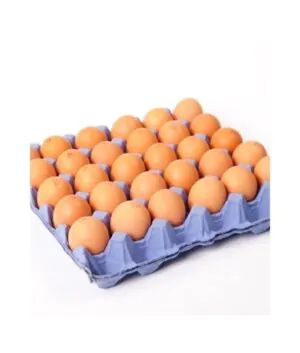 Eggs /Tray