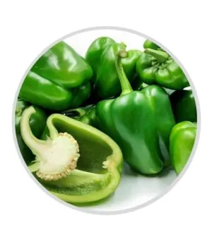 Fresh Capsicum Green