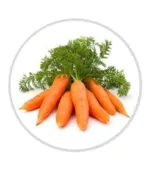 Fresh Carrot