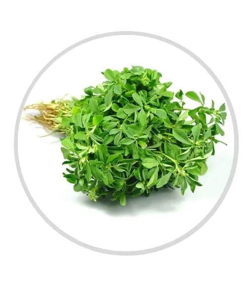 Fresh Methi Bunch