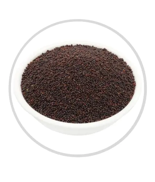 Mustard Seeds Small